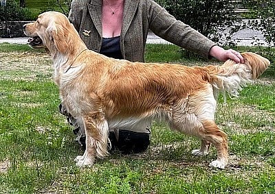 Ebba