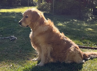 Gildas Ascolta Il Tuo Cuore