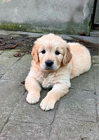 Tina