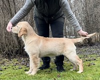 Dainty’s Urban Magic